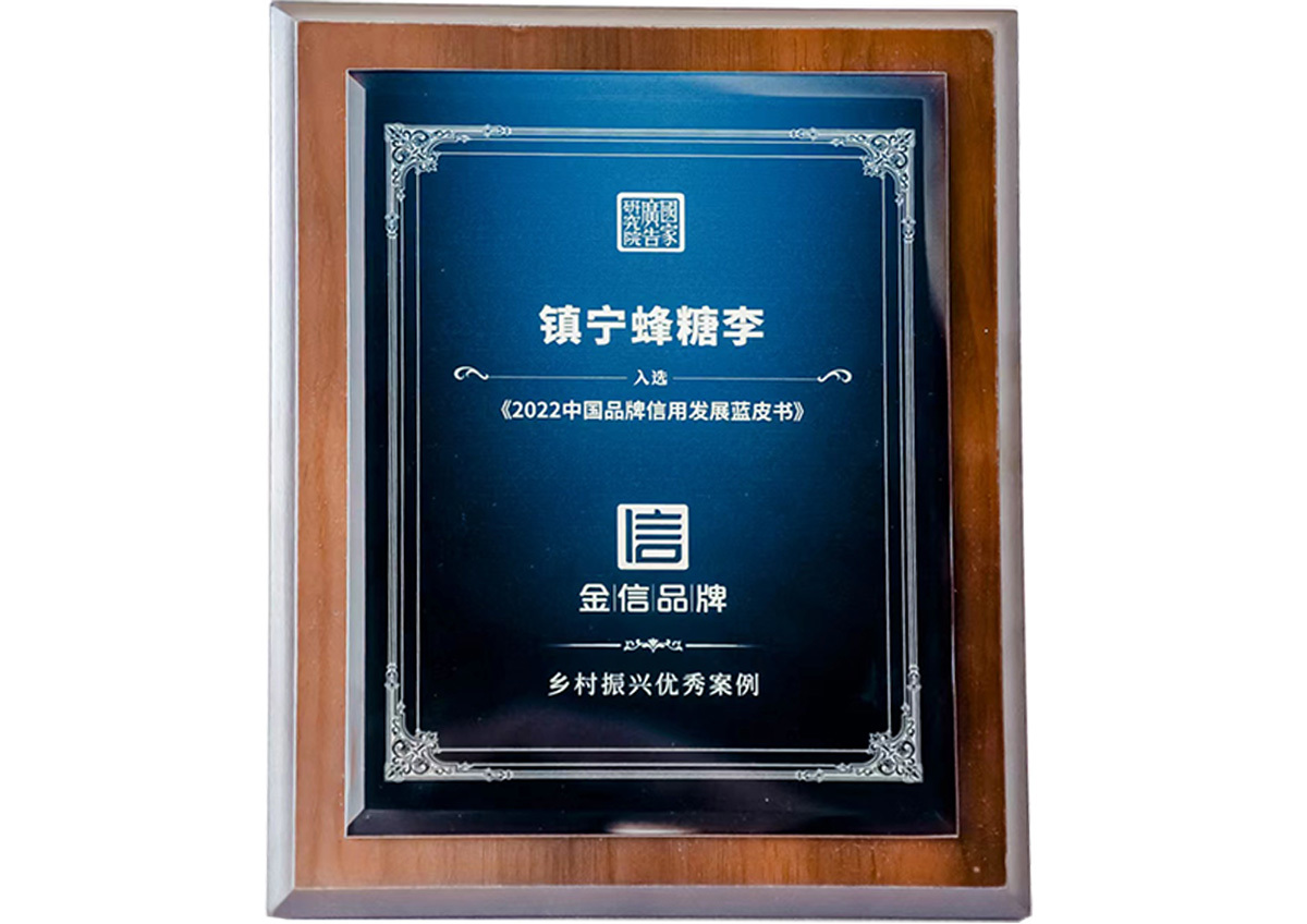 金信品牌
