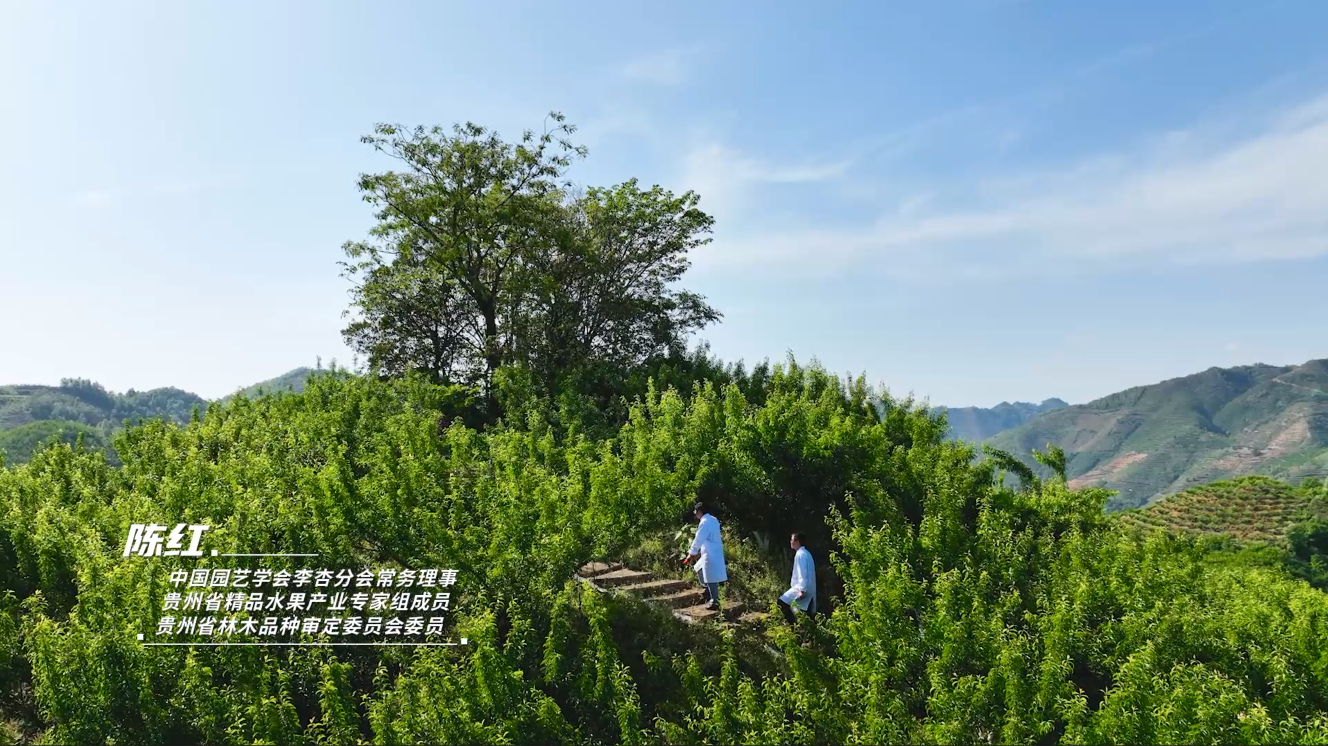 種植基地