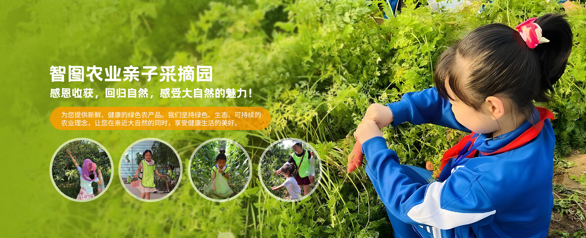 采摘园