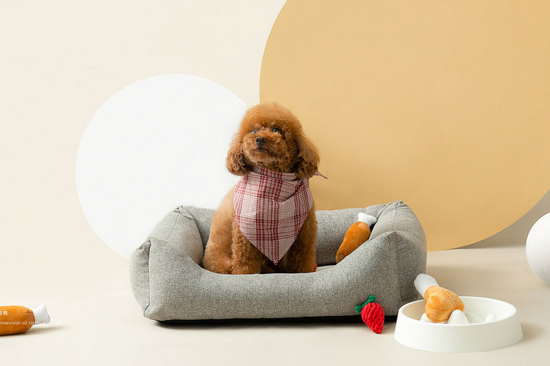 What are the dietary taboos of dog food?