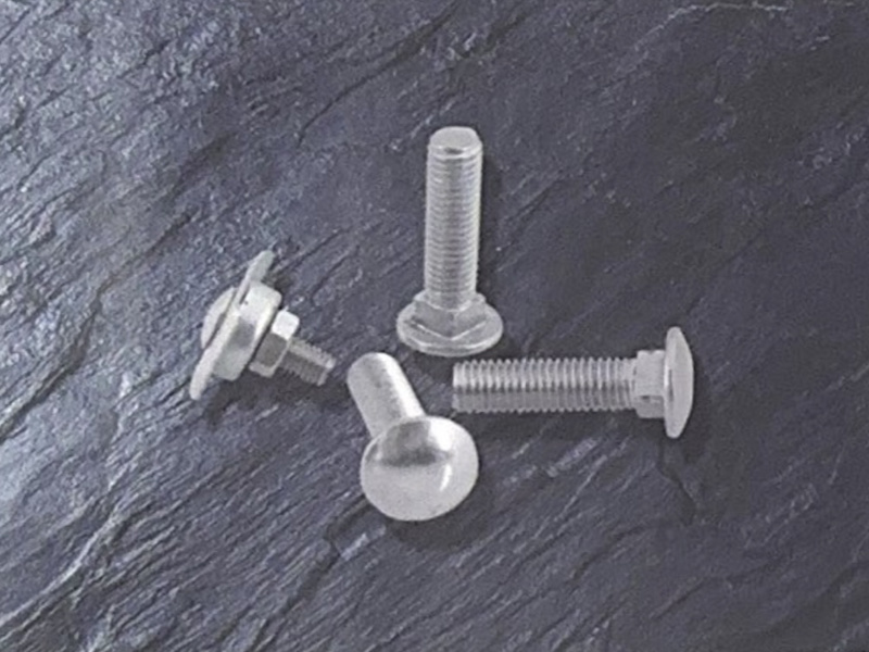 Carriage bolt