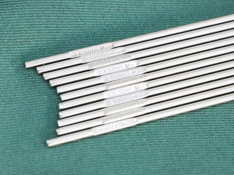 ER309LMo