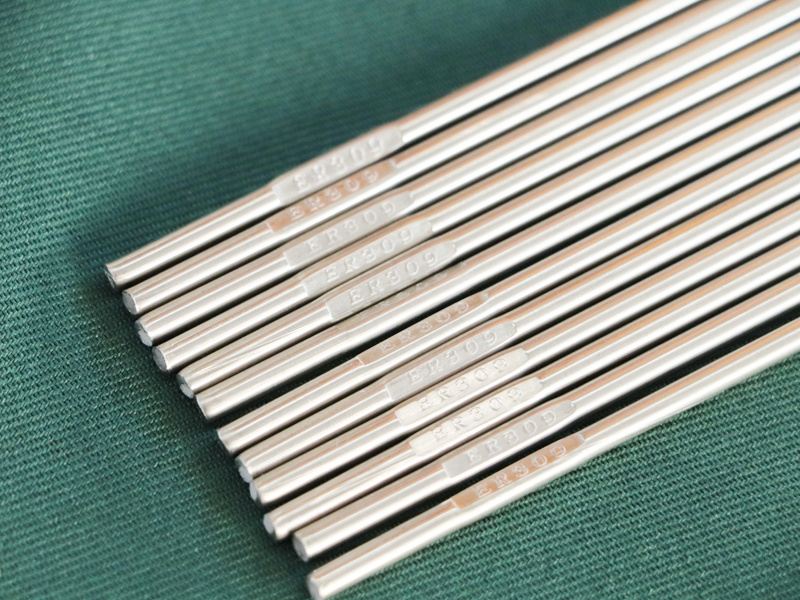 ER309