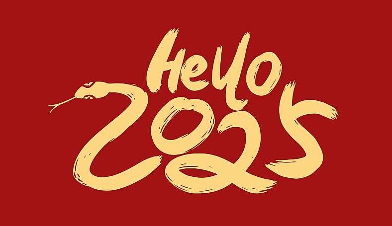 Notice of Chinese New Year Holiday