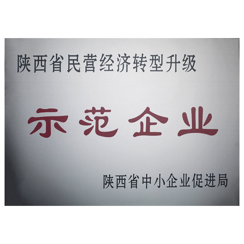 陜西省民營經濟轉型升級示范企業