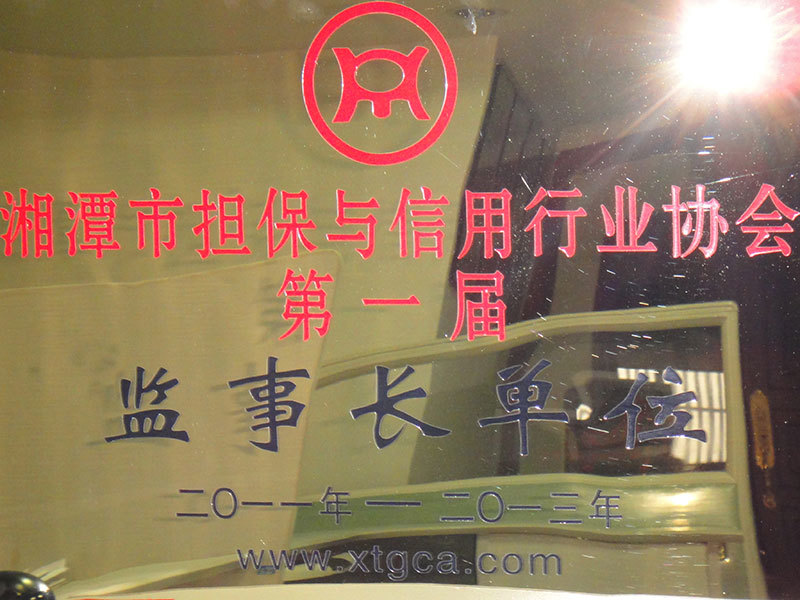2011年-2013年湘潭市担保与信用行业协会第一届监事长单位