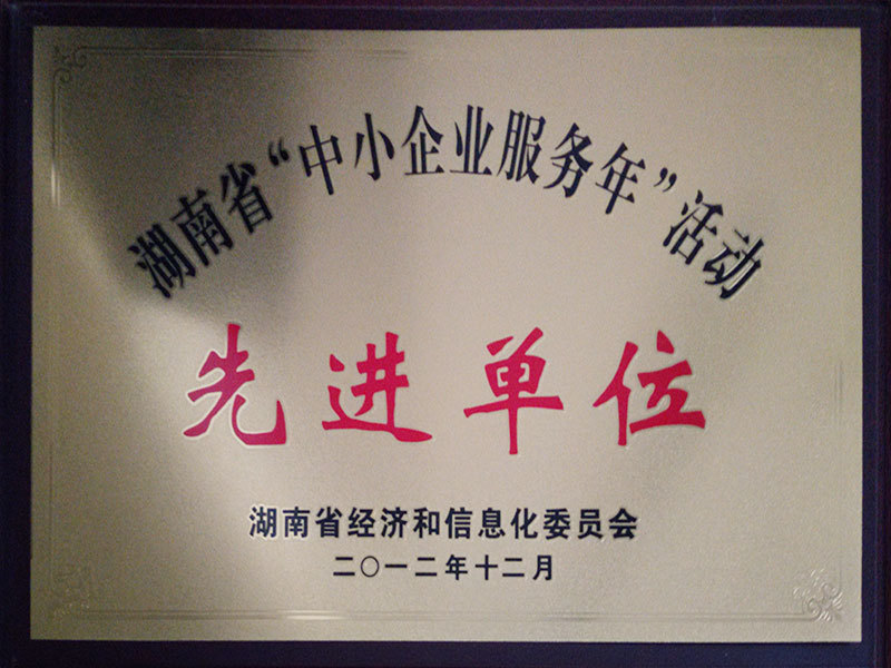 2012年12月被被湖南省经济和信息化委员会评为湖南省“中小企业服务年”活动先进单位；