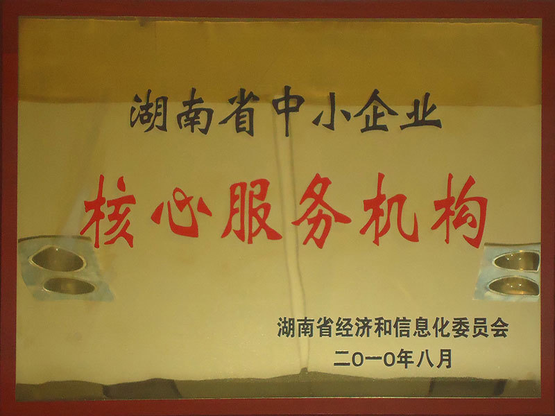 2010年8月湖南省中小企业核心服务机构