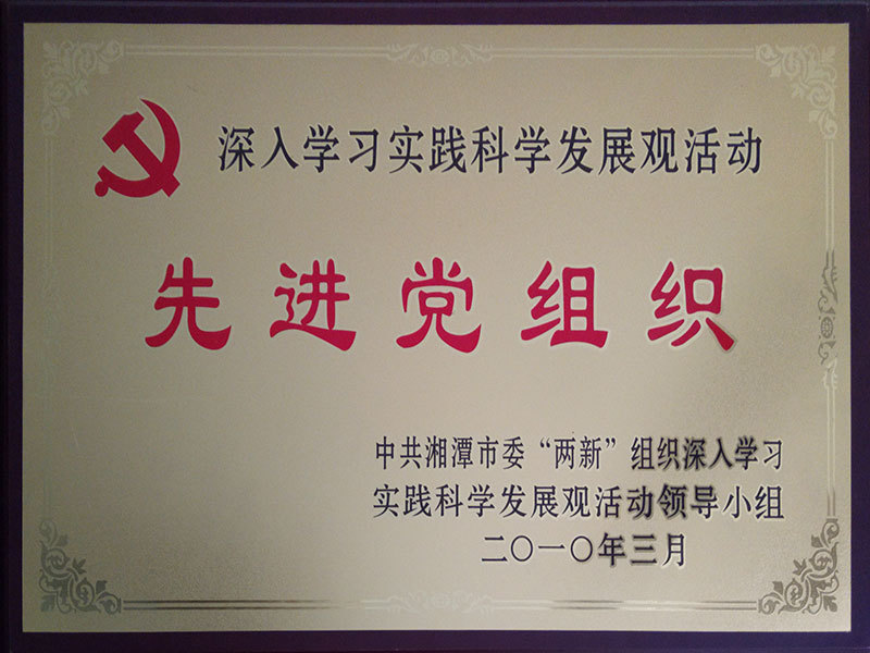 2010年3月被湘潭市委评为深入学习实践科学发展观活动“先进党组织”；
