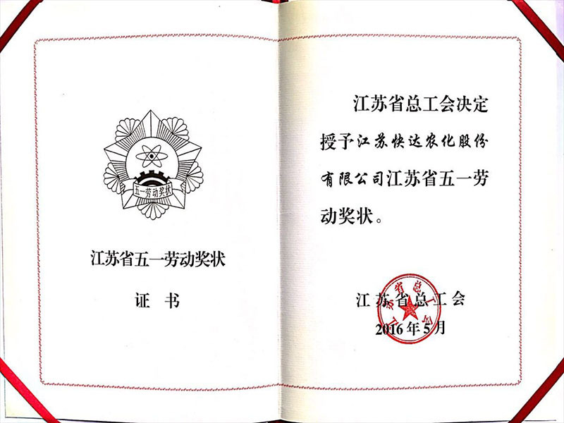 Jiangsu Province May Day Labor Award Certificate