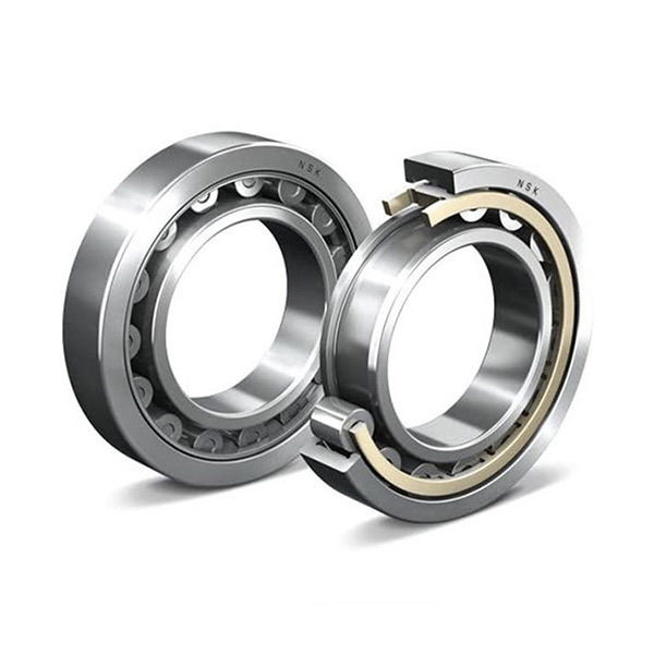 Cylindrical Roller Bearings NU10xx EM Series