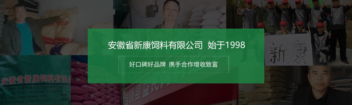 新康