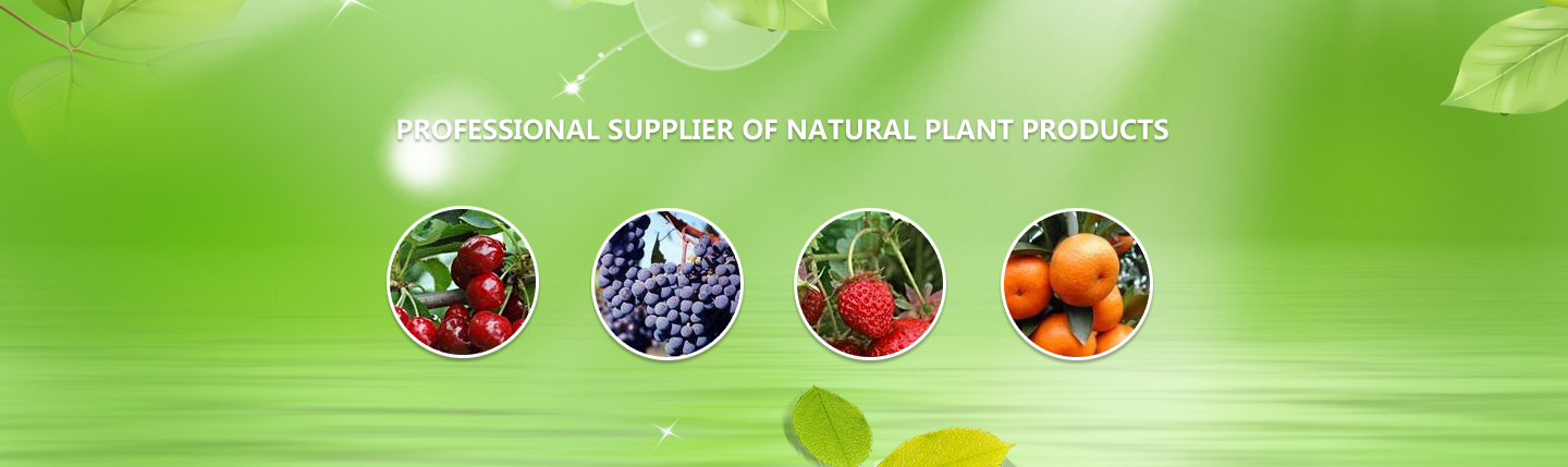 Gentcare Natural Ingredients, Inc