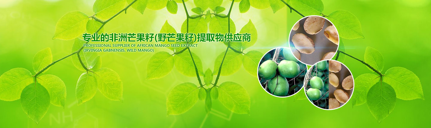 Xanthoparmelia scabrosa Extract Lichen Extract