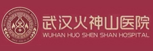 武汉火神山医院 武汉火神山医院
