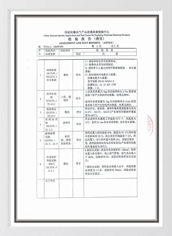 Spark detector inspection report1 Spark detector inspection report1
