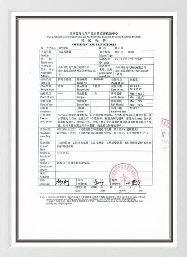 Spark detector inspection report Spark detector inspection report