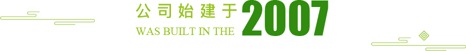 公司始建于2007年