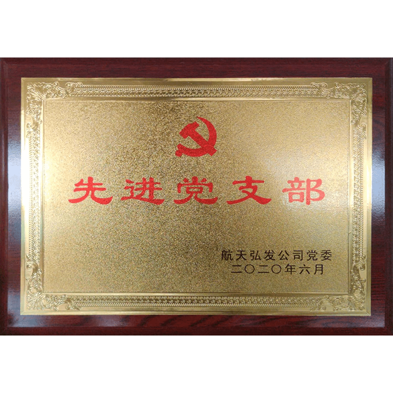 先进党支部