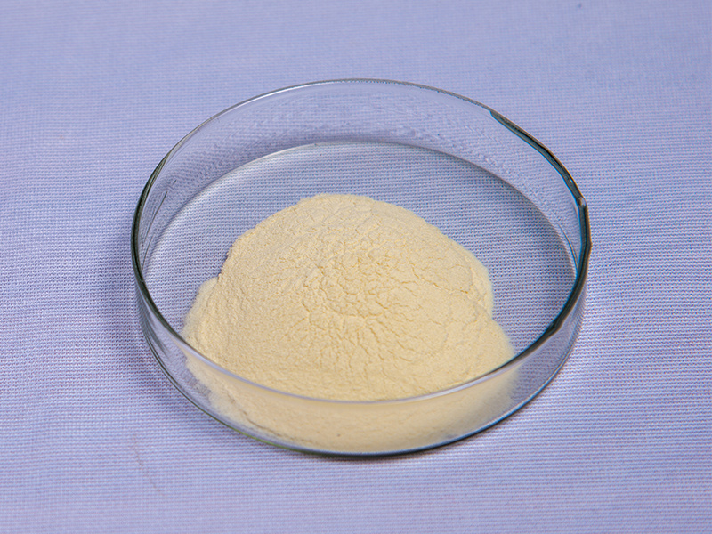 Silkworm pupa compound amino acid powder