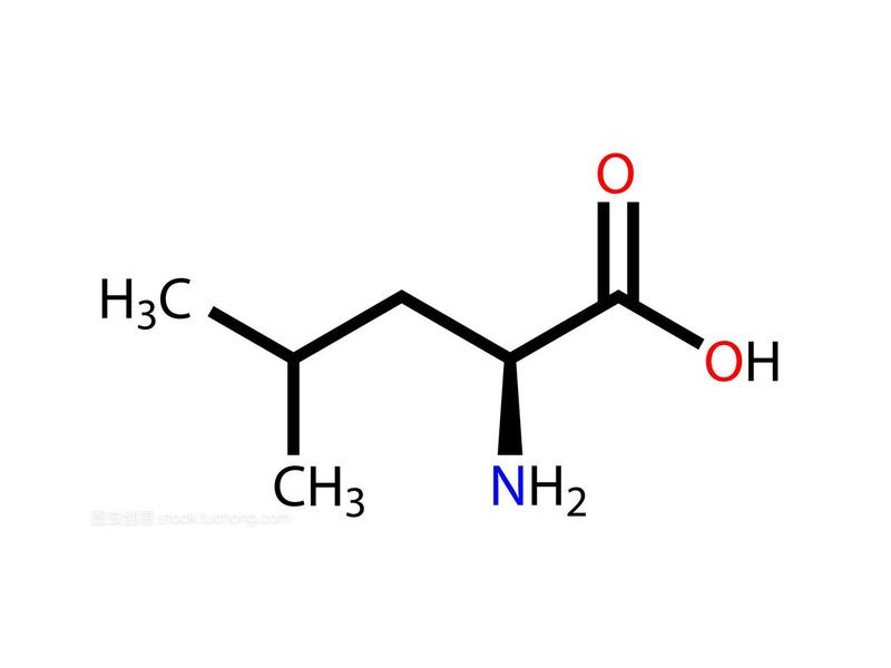人体长期缺乏氨基酸会怎么样？