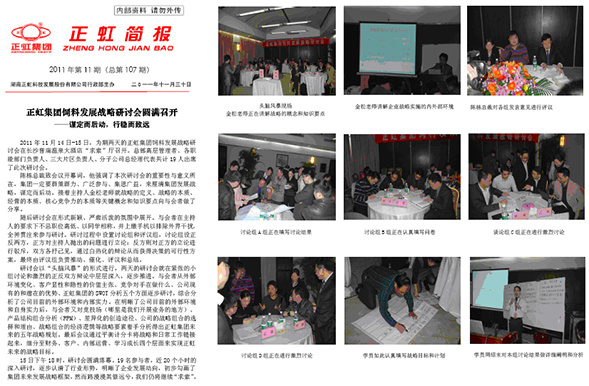 湖南正虹科技发展股份有限公司人力资源管理咨询项目