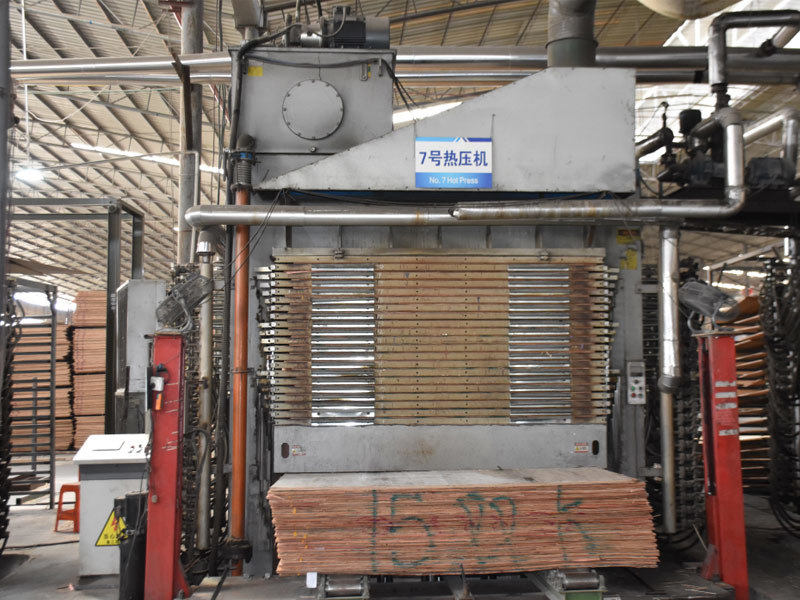 Plant and Equipment Display