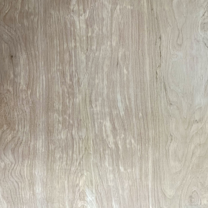 Maple Birch Noodle