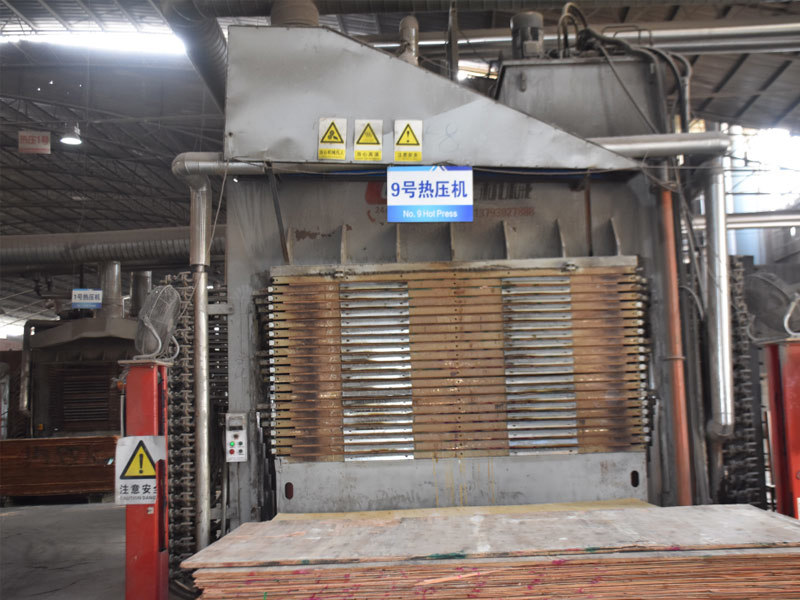 Plant and Equipment Display