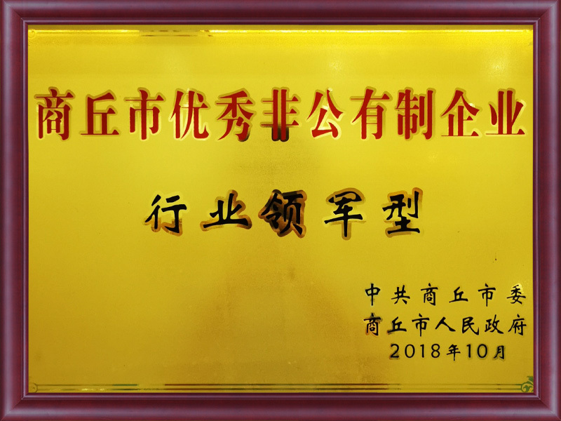 商丘市優(yōu)秀非公有制企業(yè)行業(yè)領(lǐng)軍型