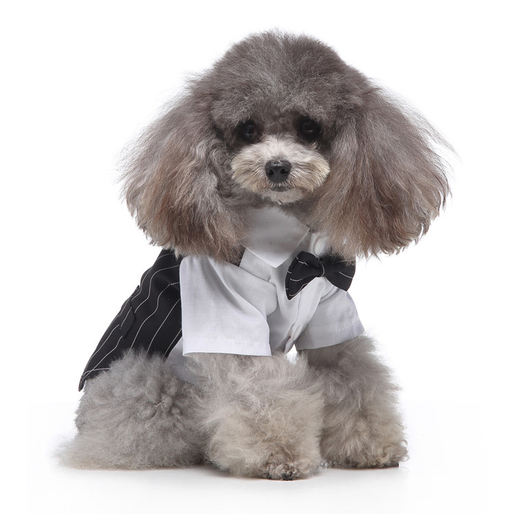 New style Couple Matching Black stripe double bow tie summer Fashion Designer Luxury Dog Dress