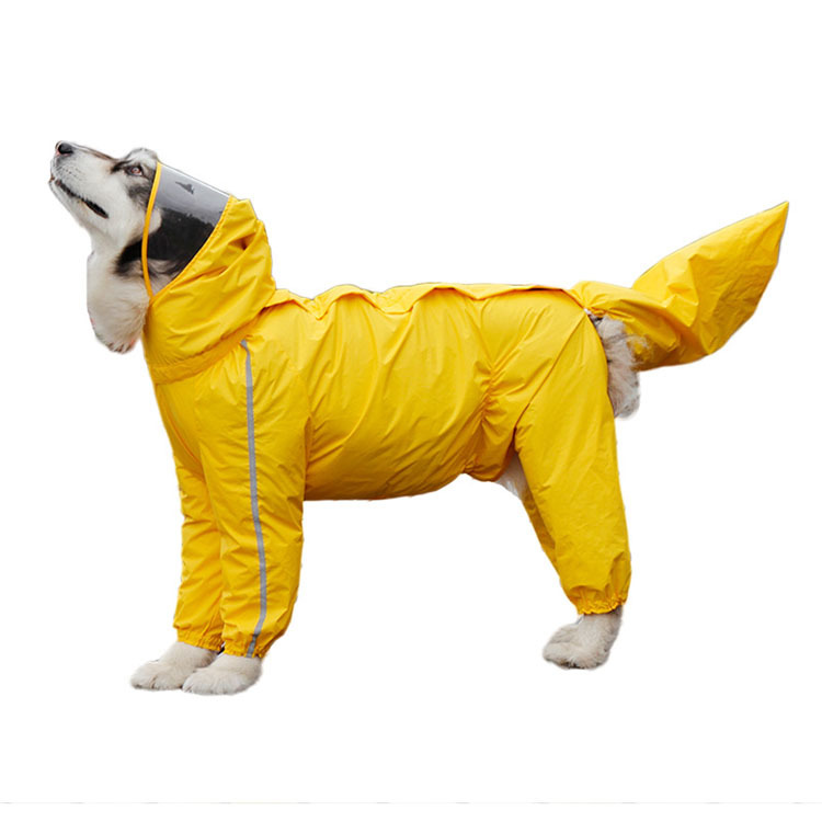 Covered tail large dog all inclusive Golden retriever four legged pet raincoat