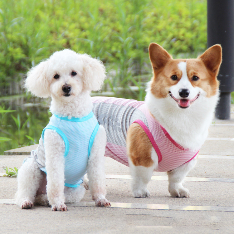 Wholesale Luxury Shiny Kejifa dou cool vest ins cool summer dog clothes