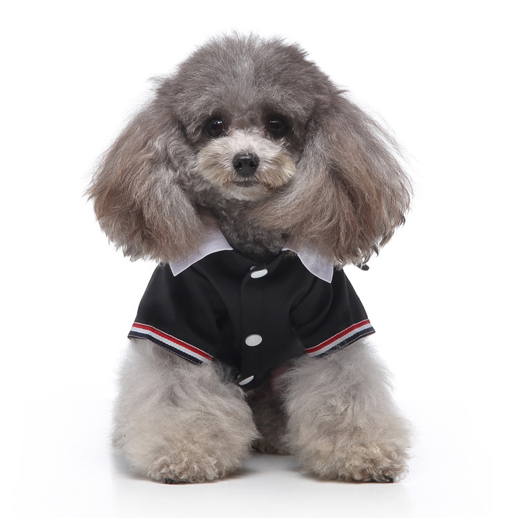 双排扣礼服黑