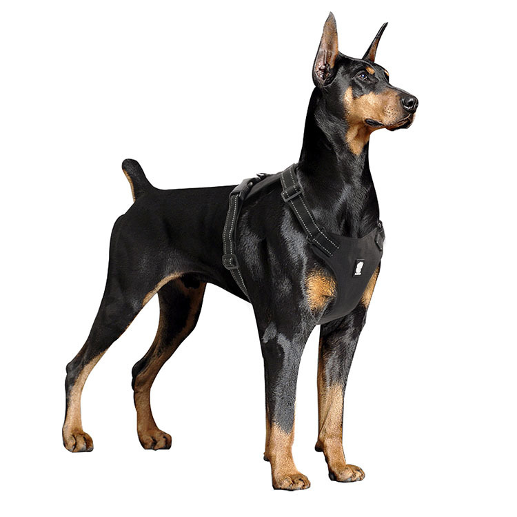 犬用轻型双碟背带