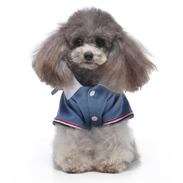 双排扣礼服蓝