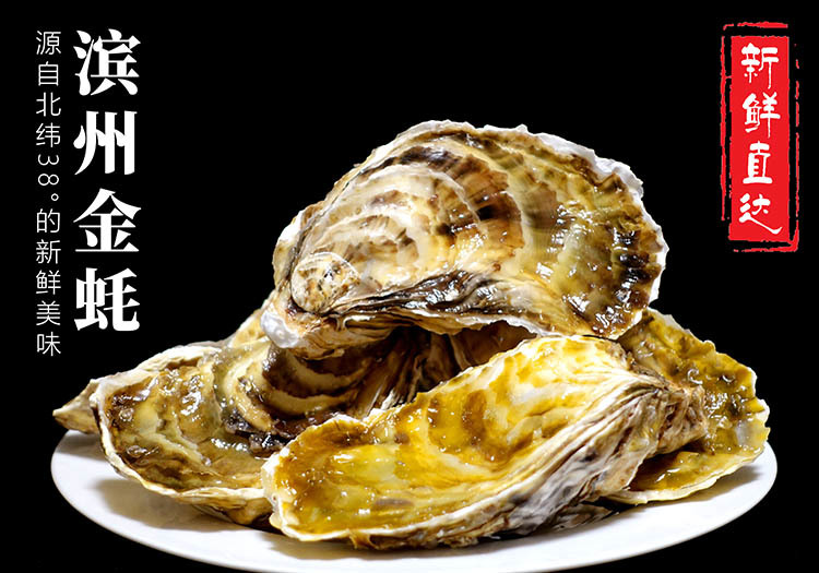 渤海貝倉