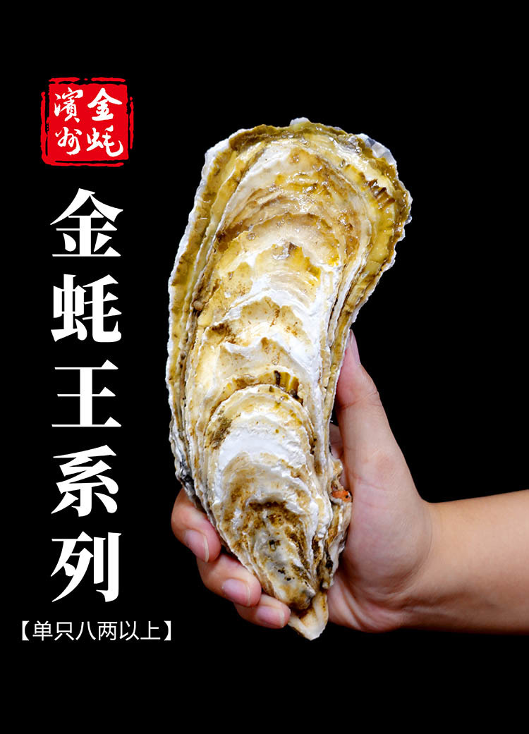 渤海貝倉