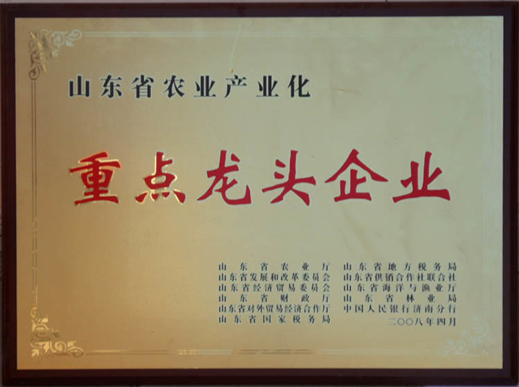 山東省農(nóng)業(yè)產(chǎn)業(yè)化重點(diǎn)龍頭企業(yè) 山東省農(nóng)業(yè)產(chǎn)業(yè)化重點(diǎn)龍頭企業(yè)
