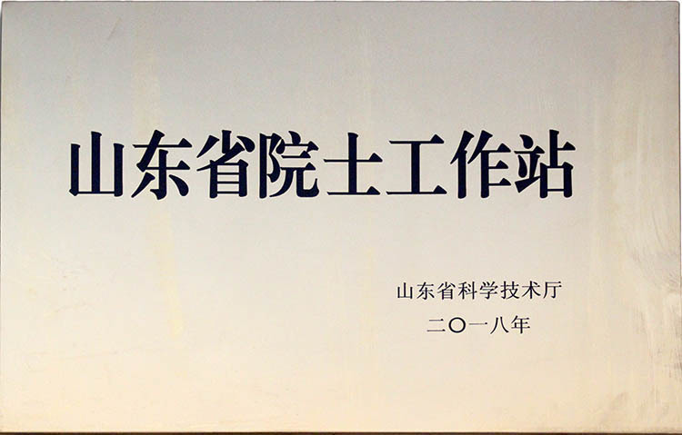 山東省院士工作站 山東省院士工作站