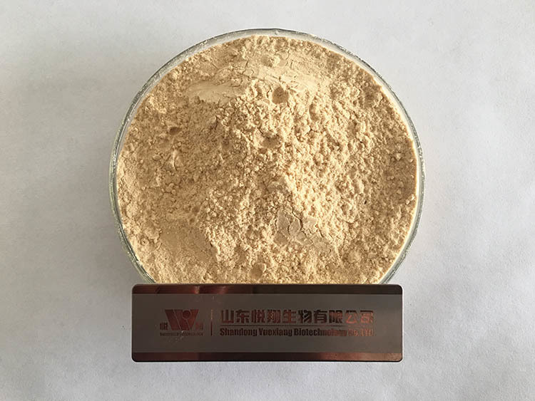 裂殖壺藻粉
