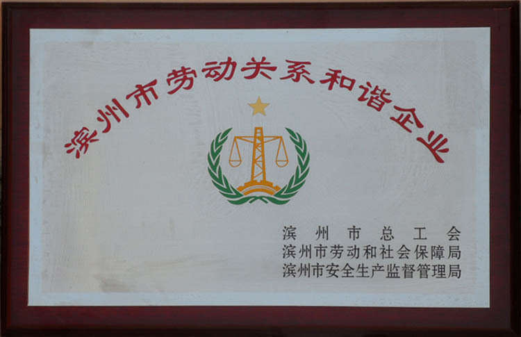 濱州市勞動(dòng)關(guān)系和諧企業(yè) 濱州市勞動(dòng)關(guān)系和諧企業(yè)