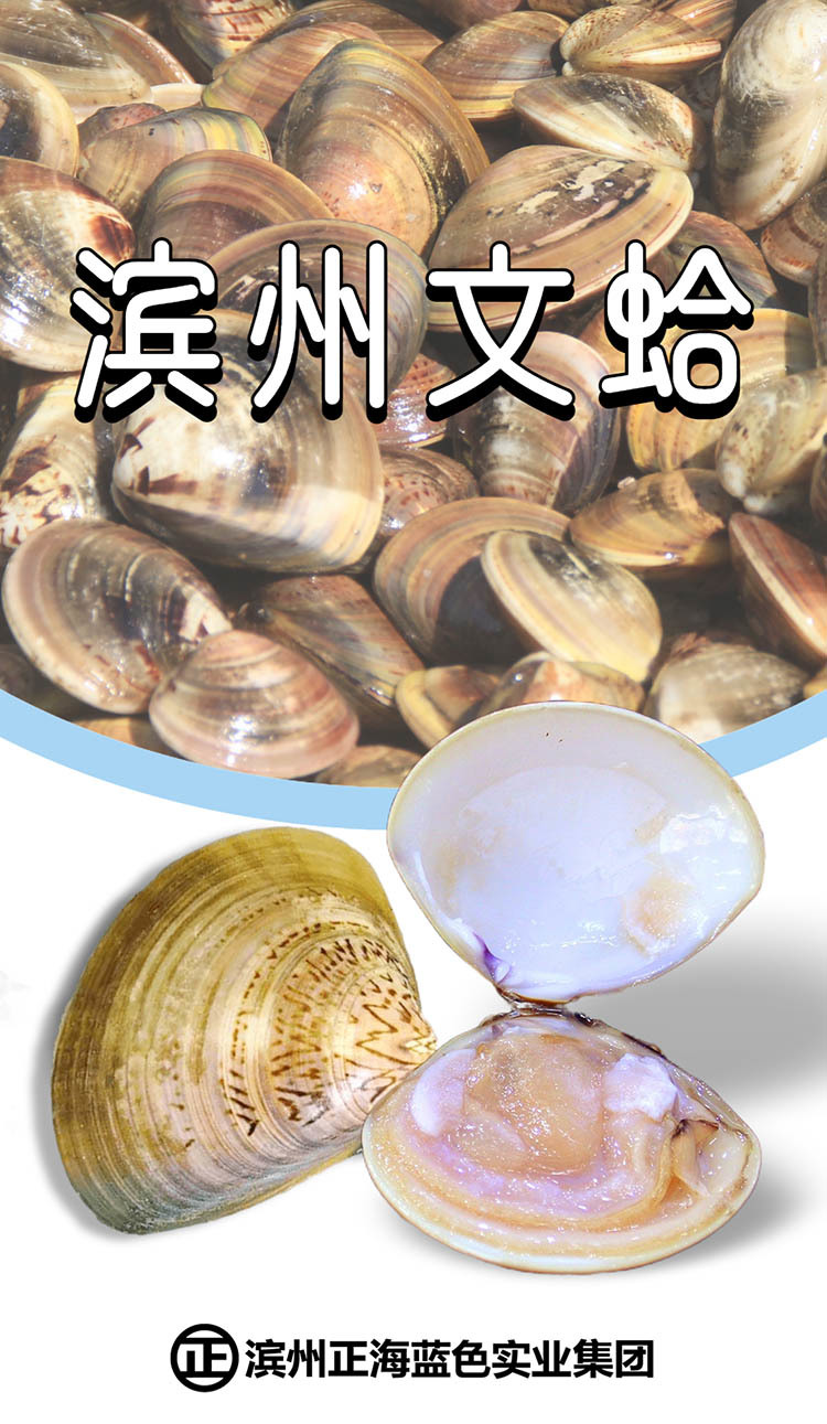 豎屏廣告機2