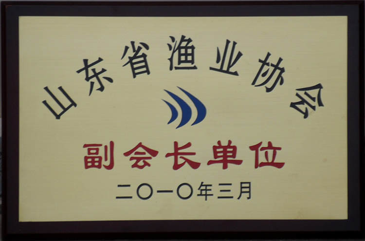 山東省預(yù)約協(xié)會(huì)副會(huì)長(zhǎng)單位 山東省預(yù)約協(xié)會(huì)副會(huì)長(zhǎng)單位