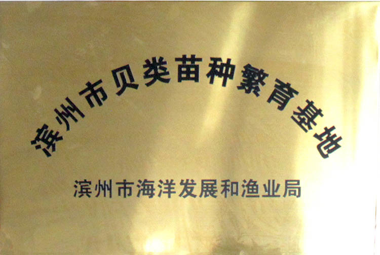 貝類(lèi)苗種繁育基地 貝類(lèi)苗種繁育基地