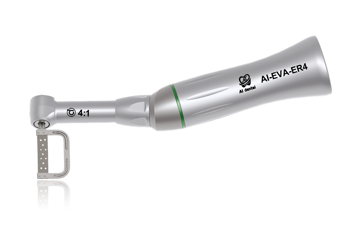 AI-EVA-ER4