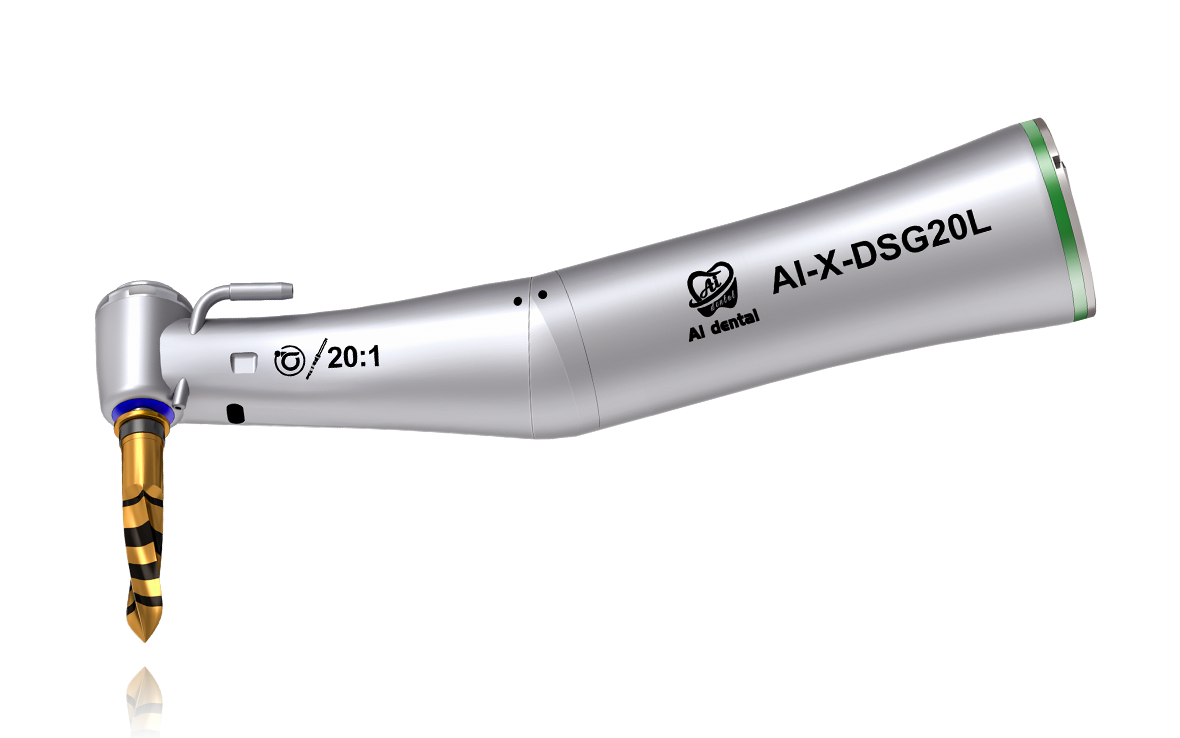 AI-X-DSG20L