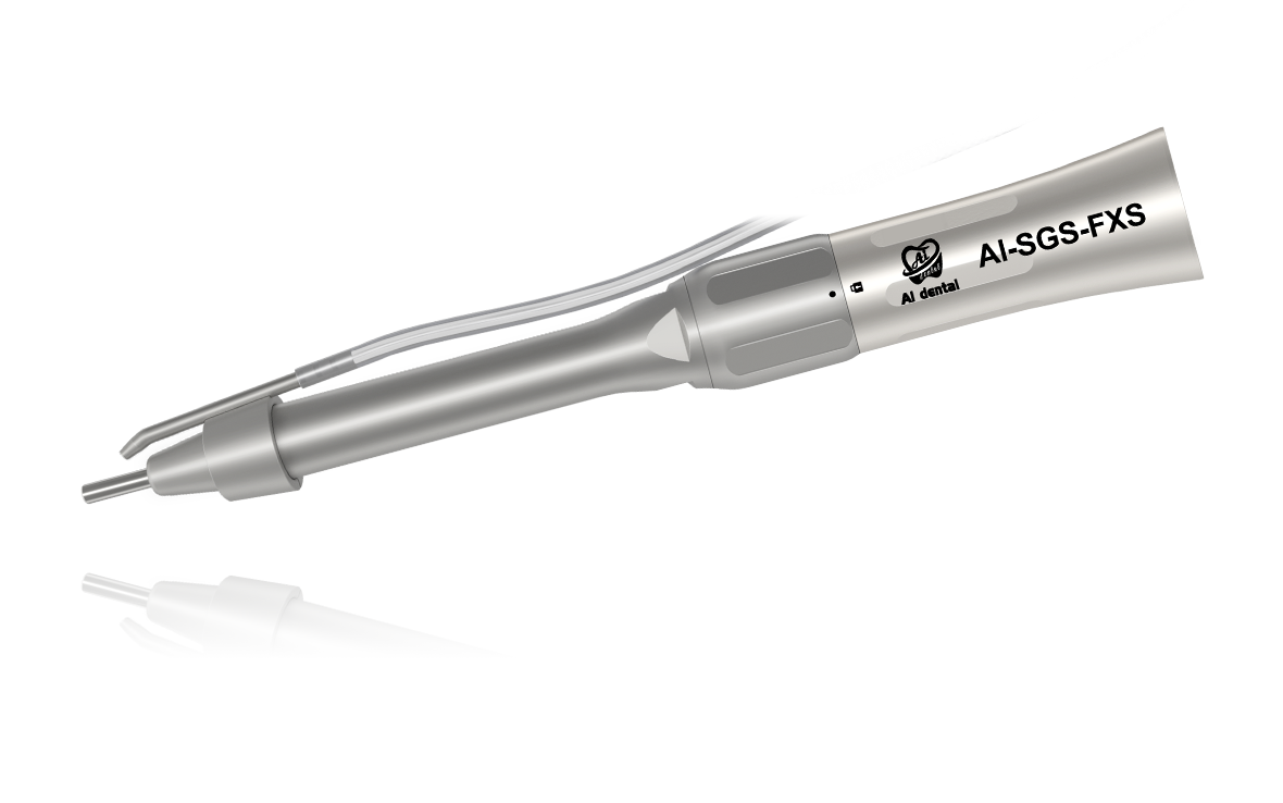 AI-SGS-FXS