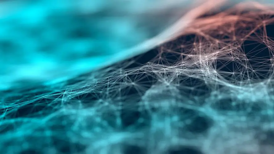 Textile fibers: fibers used to make textiles