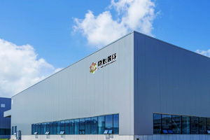 Company Profile